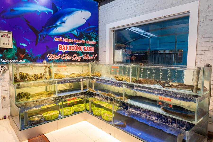 5 điều nhất của nhà hàng hải sản Đại Dương Xanh 2